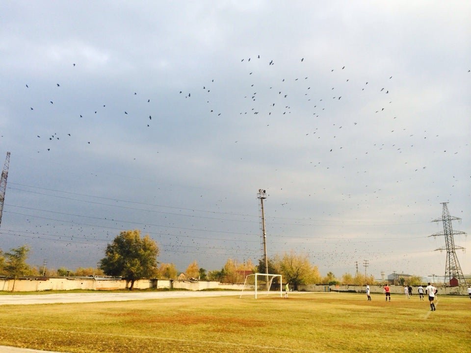 Стадион Турбина - отзывы, фото, цены, телефон и адрес - Развлечения ...