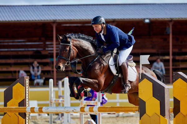 Конный спорт московская область