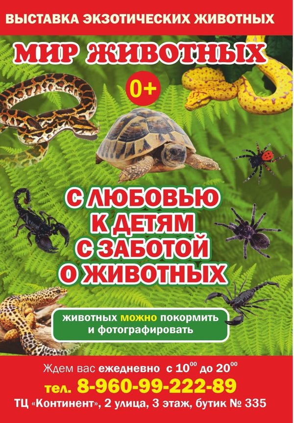 Выставка экзотических животных афиша. Выставка экзотических животных. Выставка тропических животных. Выставка экзотических животных. Террамания выставка.