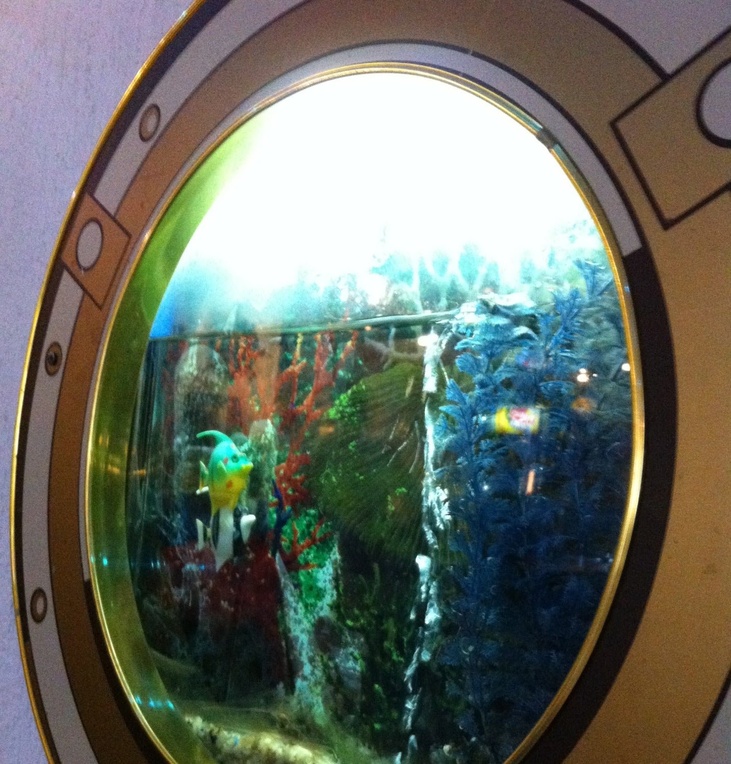 Наутилус, ресторан на улице Космонавтов в Сосновом Бору 🍴 отзывы, адрес ...