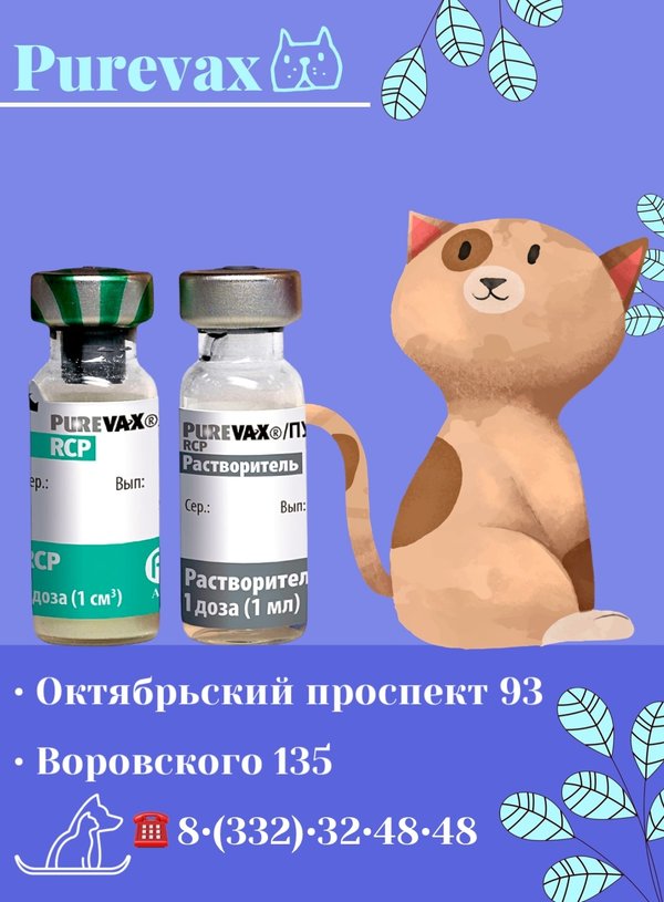 ауд енция пр зидент пр вет. ауд енция пр зидент пр вет. рязанский проспект 24 ветеринарная клиника. пуревакс rcp. ауд енция пр зидент пр вет.