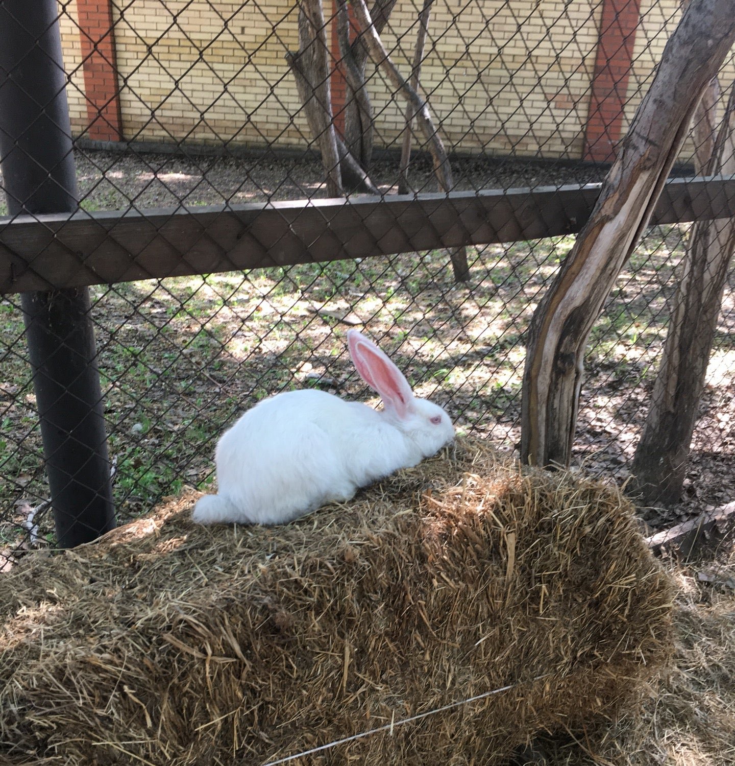 Парк На Королева на проспекте Академика Королева - отзывы, фото, цены ...