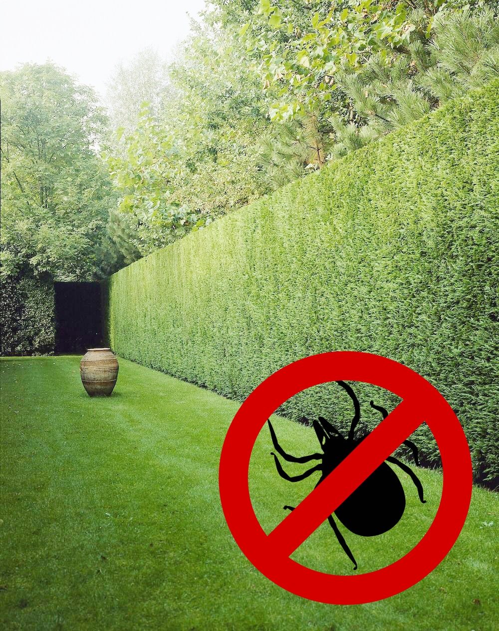 Герадез, центр дезинфекции в Трубном проезде в Липецке 📍 отзывы, фото ...