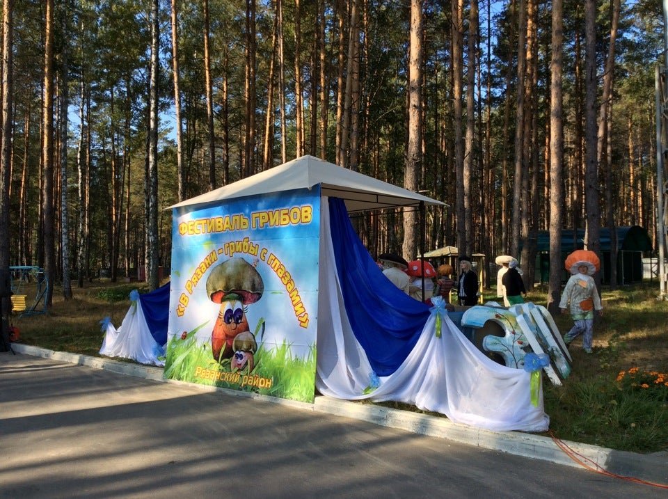 Подлипки зеленый бор. Зеленый Бор Рязань ласково. Лагерь зелёный Бор Рязань. Зелёный Бор база отдыха Рязань ласково. ОСБ зеленый Бор Рязань.