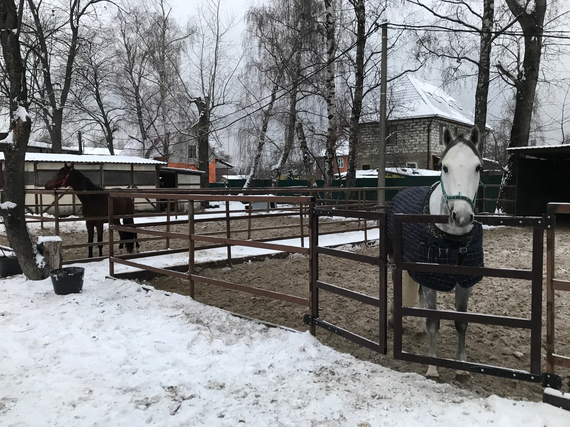 Катки на Котельниках: адреса и телефоны, 2 развлекательных центра, 12  отзывов, фото и рейтинг ледовых катков – Москва – Zoon.ru