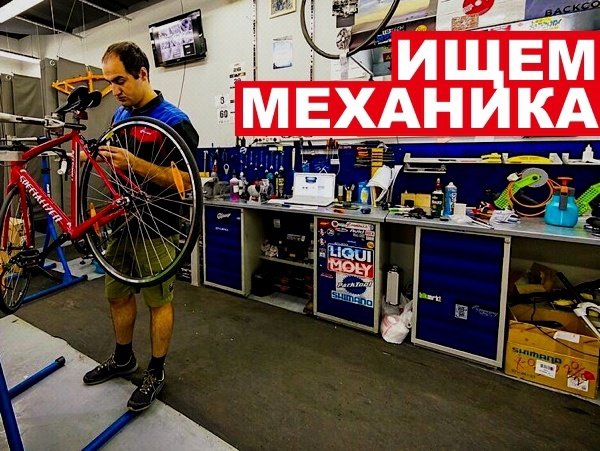 Найти механика