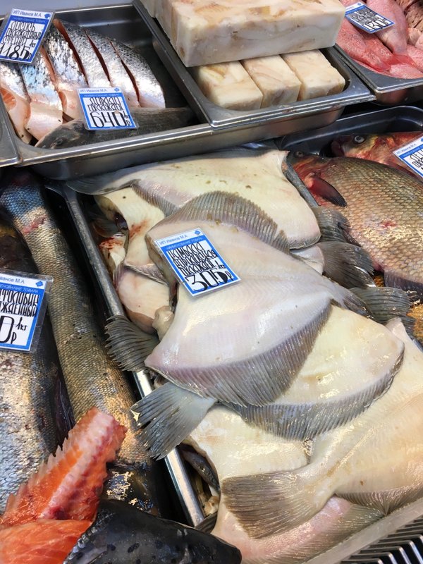 санкт петербург чкаловский проспект 26 море рыбы