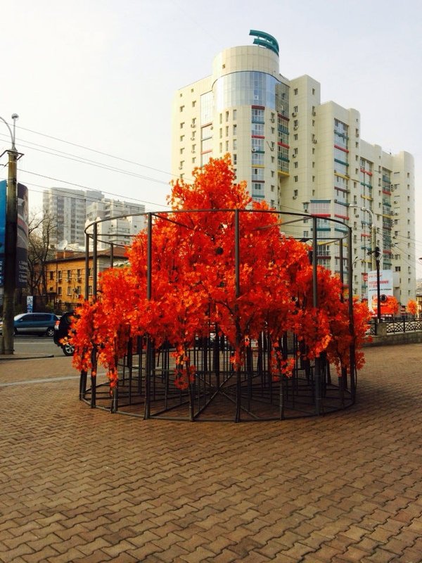 Химчистка Дом Быта Хабаровск