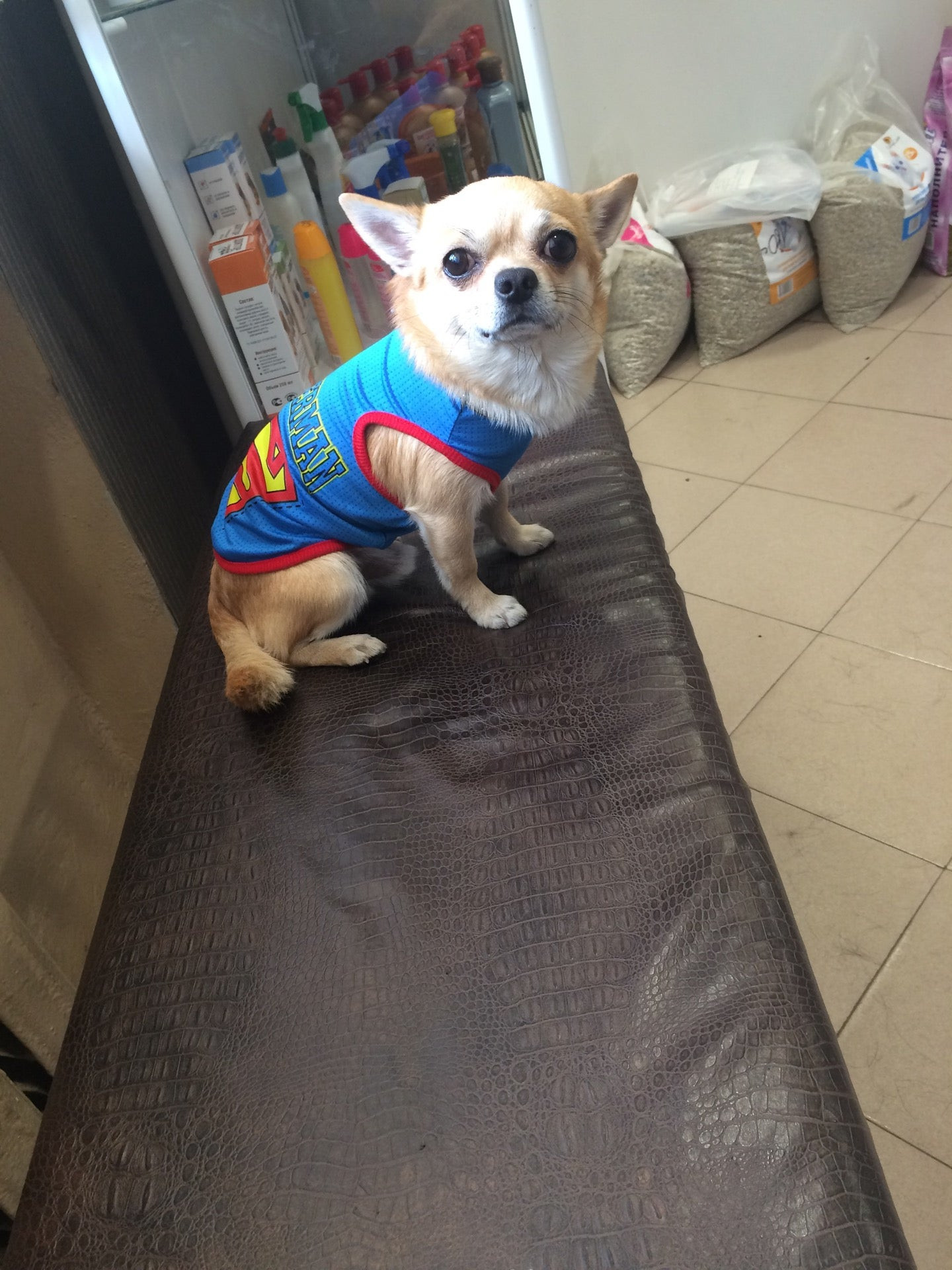 груминг пенза