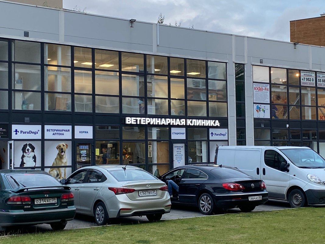 ветеринарная клиника ижевск воткинское государственная шоссе. гагаринская ветклиника. ветеринарная клиника в челябинске на гагарина. аврора ветеринарная клиника липецк. ветклиника в гагарине смоленской области.