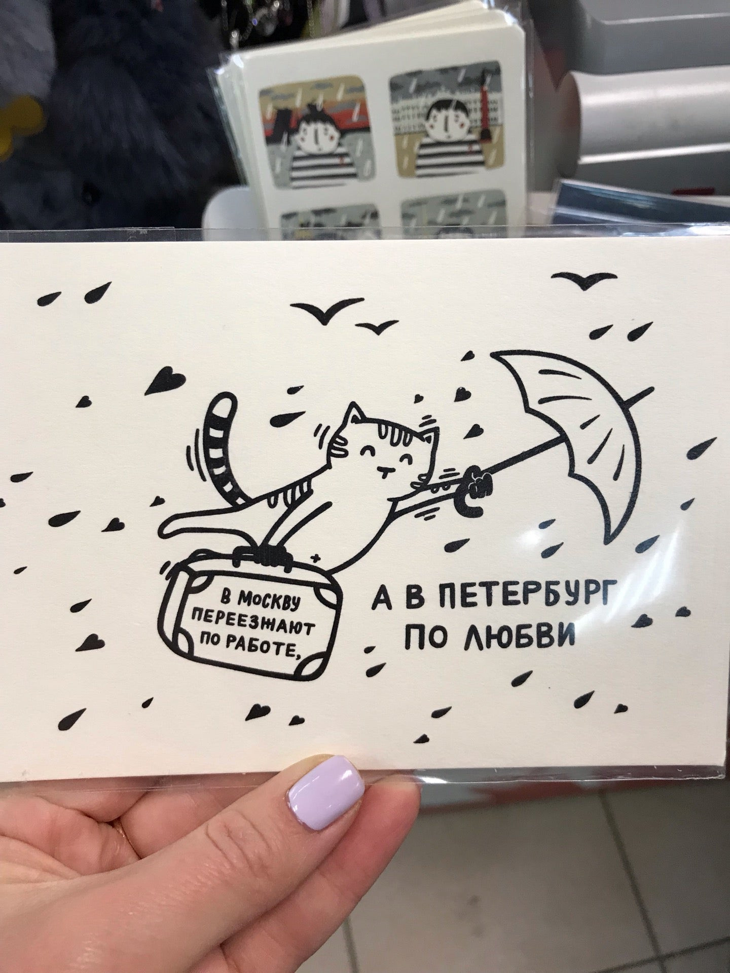 буквоед сосновый бор