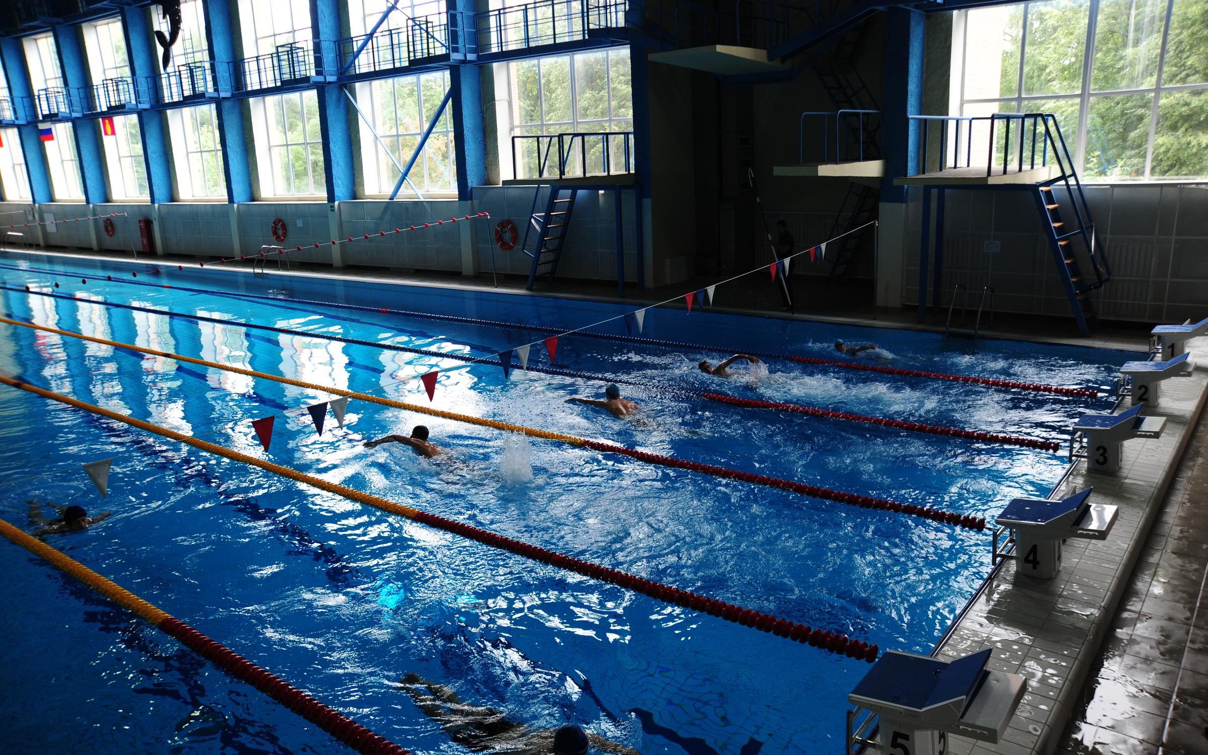 Дворец водного спорта сайт. Дворец водного спорта Дельфин Воскресенск. Бассейн Дельфин Прокопьевск. Г. Видное бассейн Дельфин. Дворец спорта Дельфин Прокопьевск.