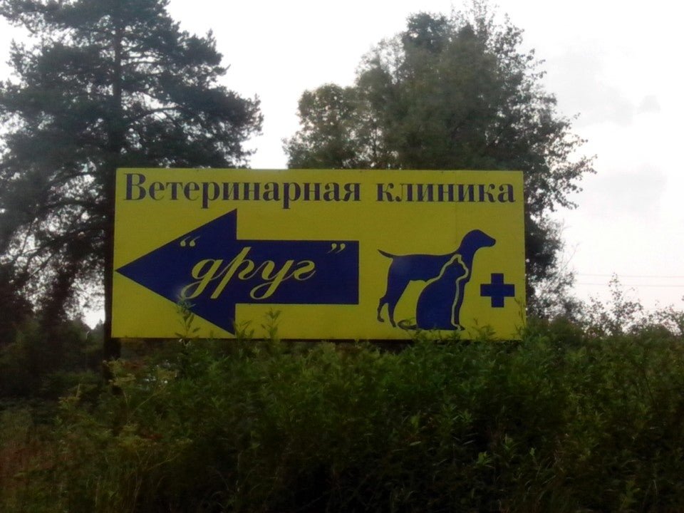 Ветклиника друг. Ветеринарная клиника друг Омск. Ветеринарная клиника друзья Белгород. Друзья ветеринарная клиника Владимир. Ветеринарная клиника друг Тольятти.