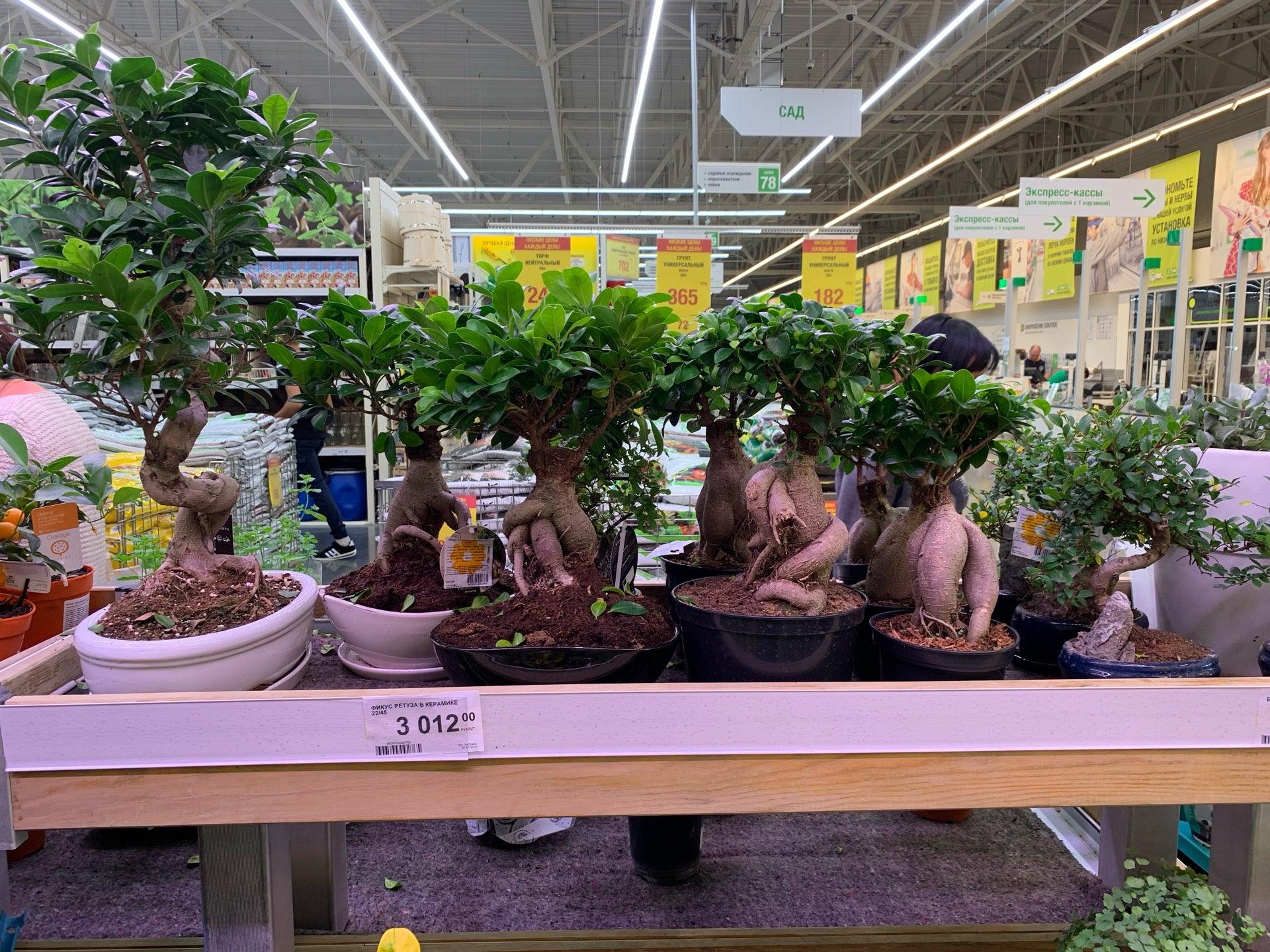 Строительный гипермаркет Леруа Мерлен на улице Южного обхода - отзывы ...