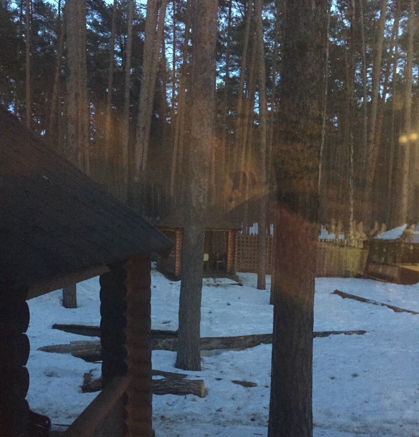 кафе ковчег тамбов