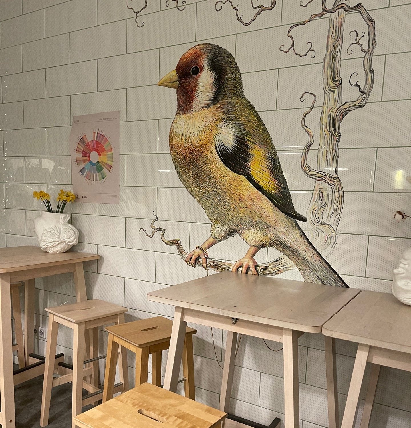 ресторан щегол спб. щегол кофейня спб. кафе щегол санкт-петербург. щегол кафе астрахань. щегол.