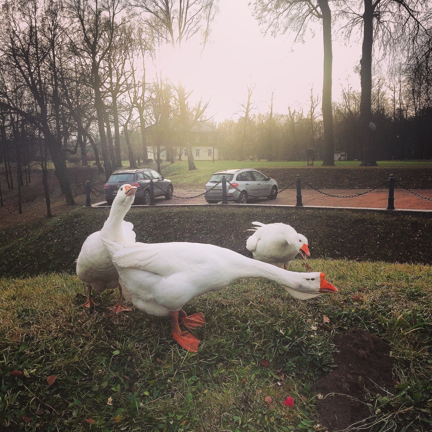 BIP, ресторан на Мариинской улице в Павловске 🍴 отзывы, адрес и как ...