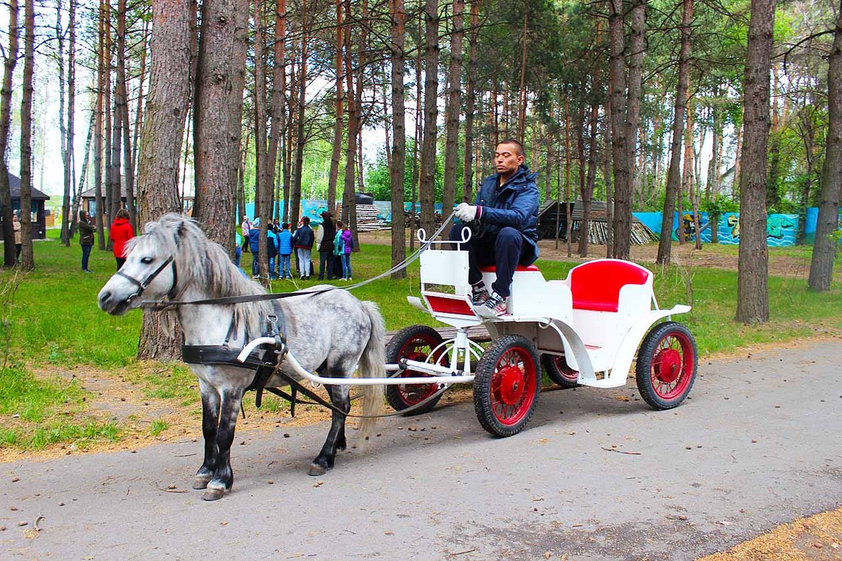 базы отдыха в липецке бригантина