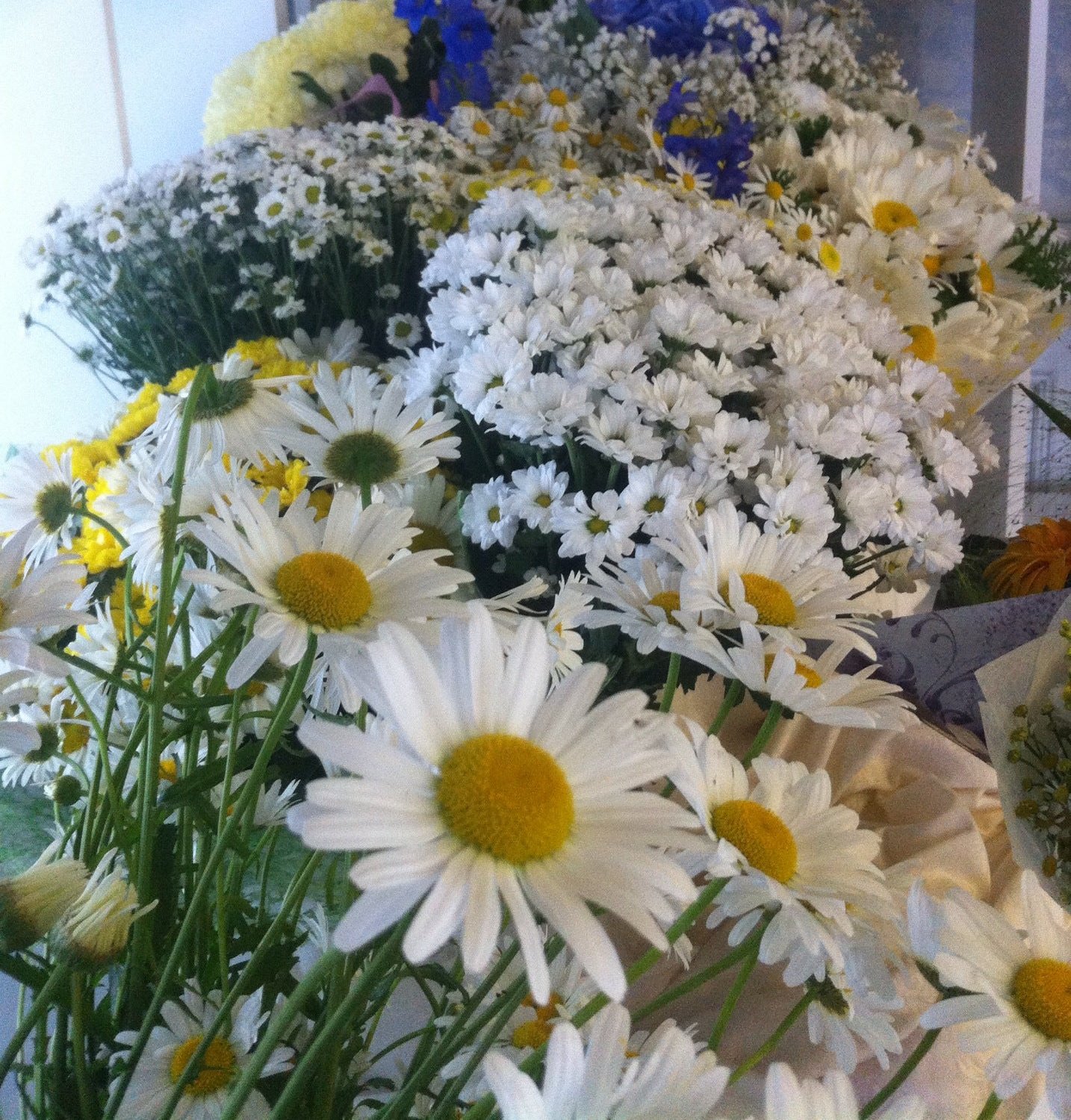 Стрельна, ресторан на Санкт-Петербургском шоссе в Стрельне, Санкт ...