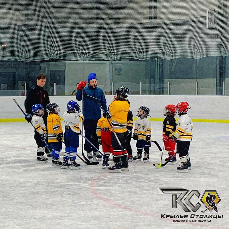 школа крылья отзывы. бизнес школа крылья. школа крылья. крылья столицы хоккейная школа. крылья столицы хоккейная школа шмидт.