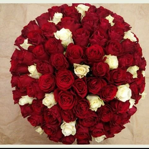 Roza4u