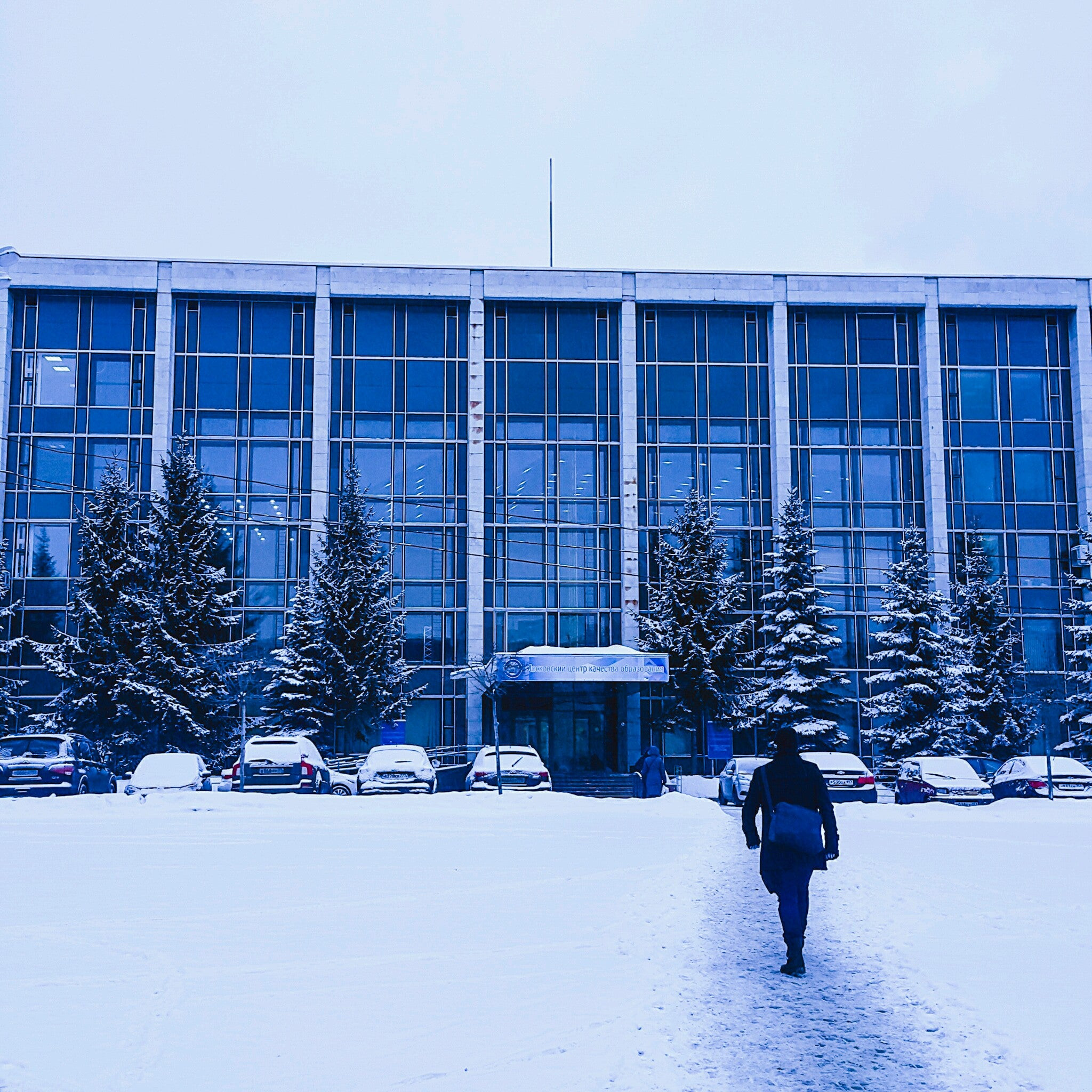 Подготовка к ОГЭ на Соколиной Горе, 3 учебных центра, 31 отзыв, фото,  рейтинг курсов подготовки к ОГЭ – Москва – Zoon