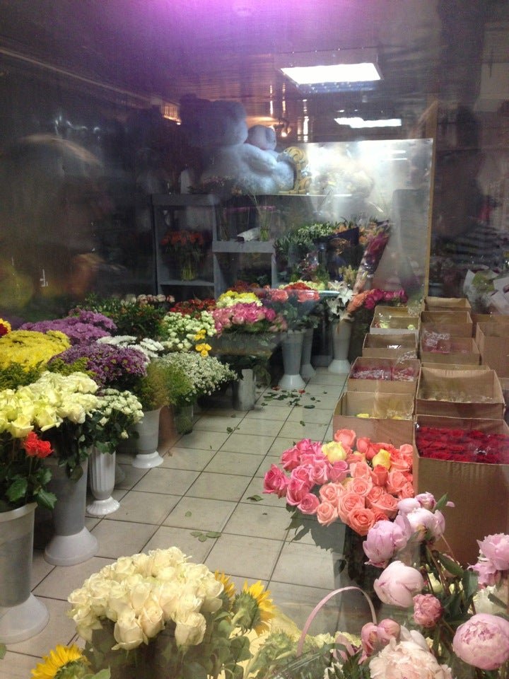 Сьюзан коллинз «сойка-пересмешница» обложка книги. Цветочная галерея в пензе. Голодные игры в братске на европе плюс. Сойка флаверс ул захарченко 12 отзывы. Доставка цветов в чехове московской области на дом.