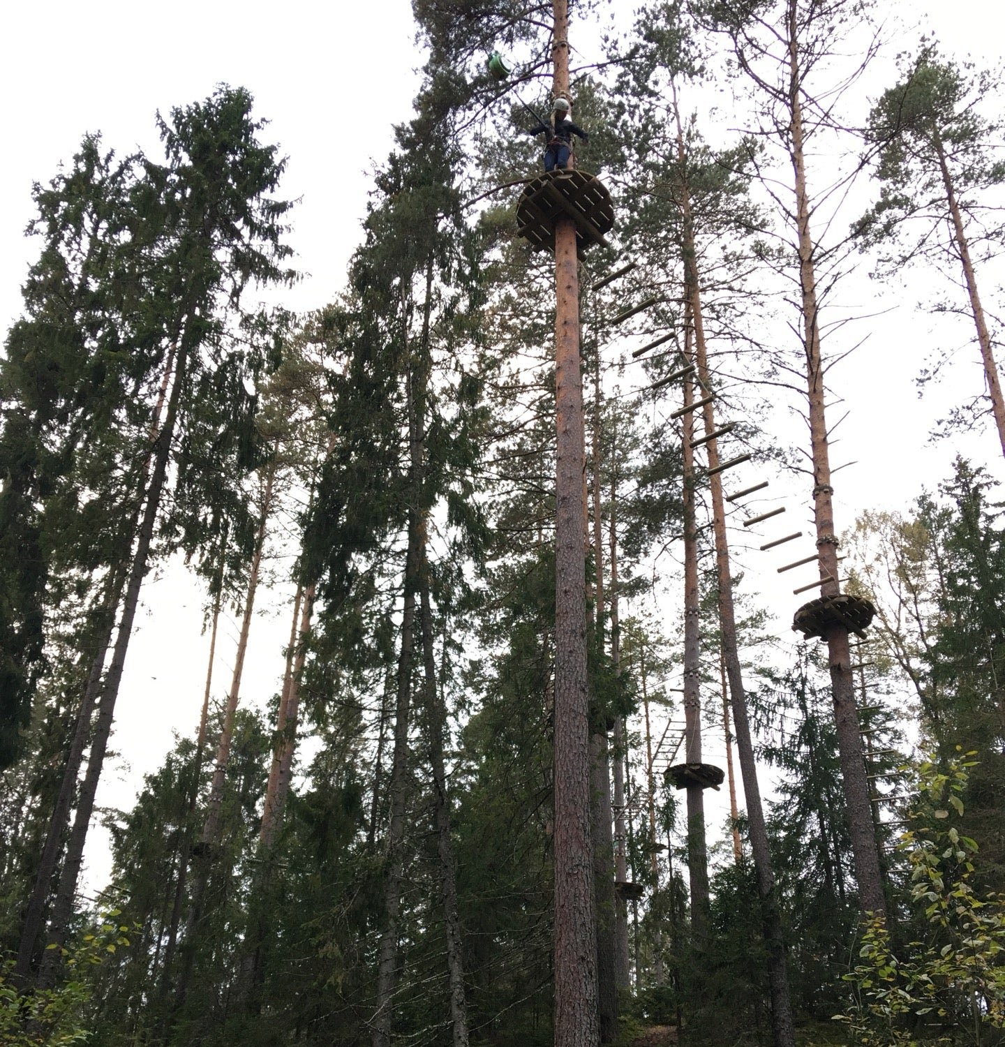 Кинг конг парк ильичево