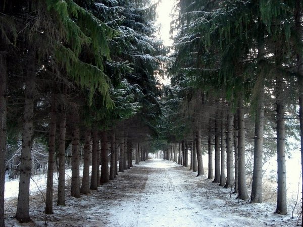 Подгородка омск