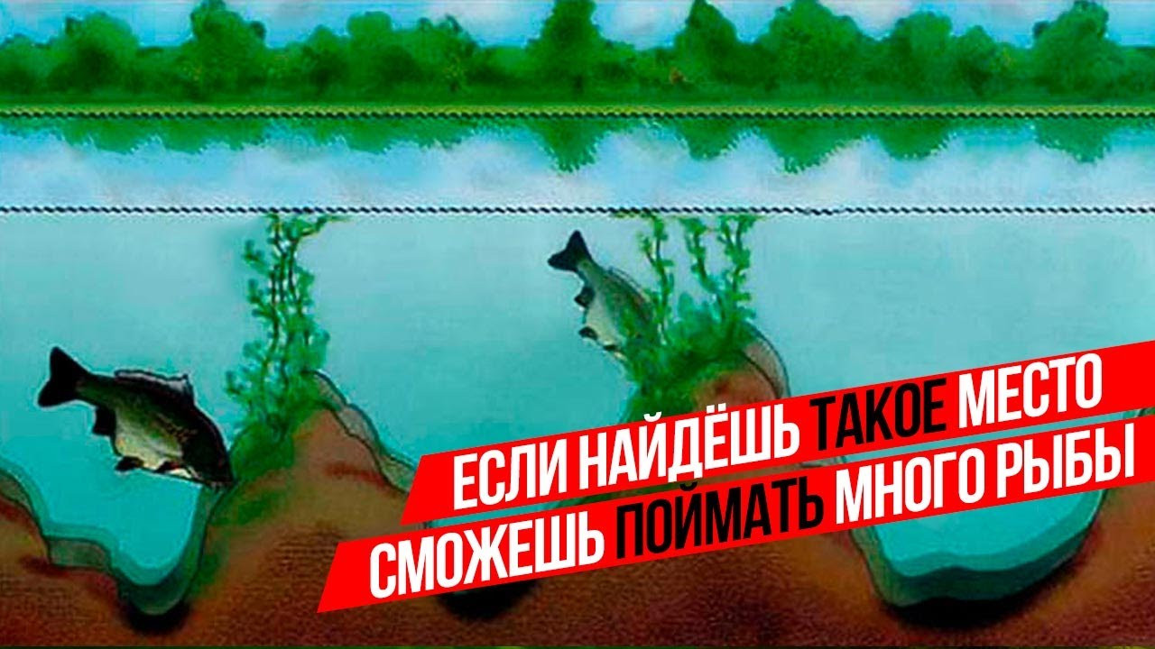 Магазины спиннингов в Москве рядом со мной – Купить спиннинг: 182 магазина  на карте города, 1137 отзывов, фото – Zoon.ru