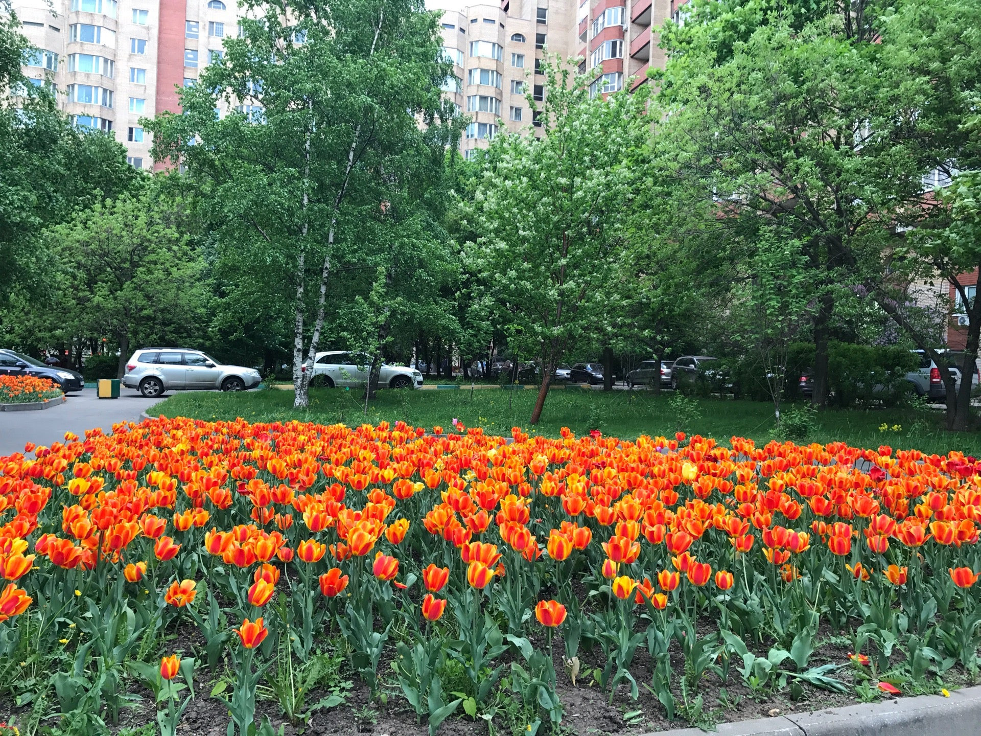 Табачные магазины на улице Архитектора Власова рядом со мной, 4 магазина на  карте города, отзывы, фото, рейтинг магазинов табачной продукции – Москва –  Zoon.ru