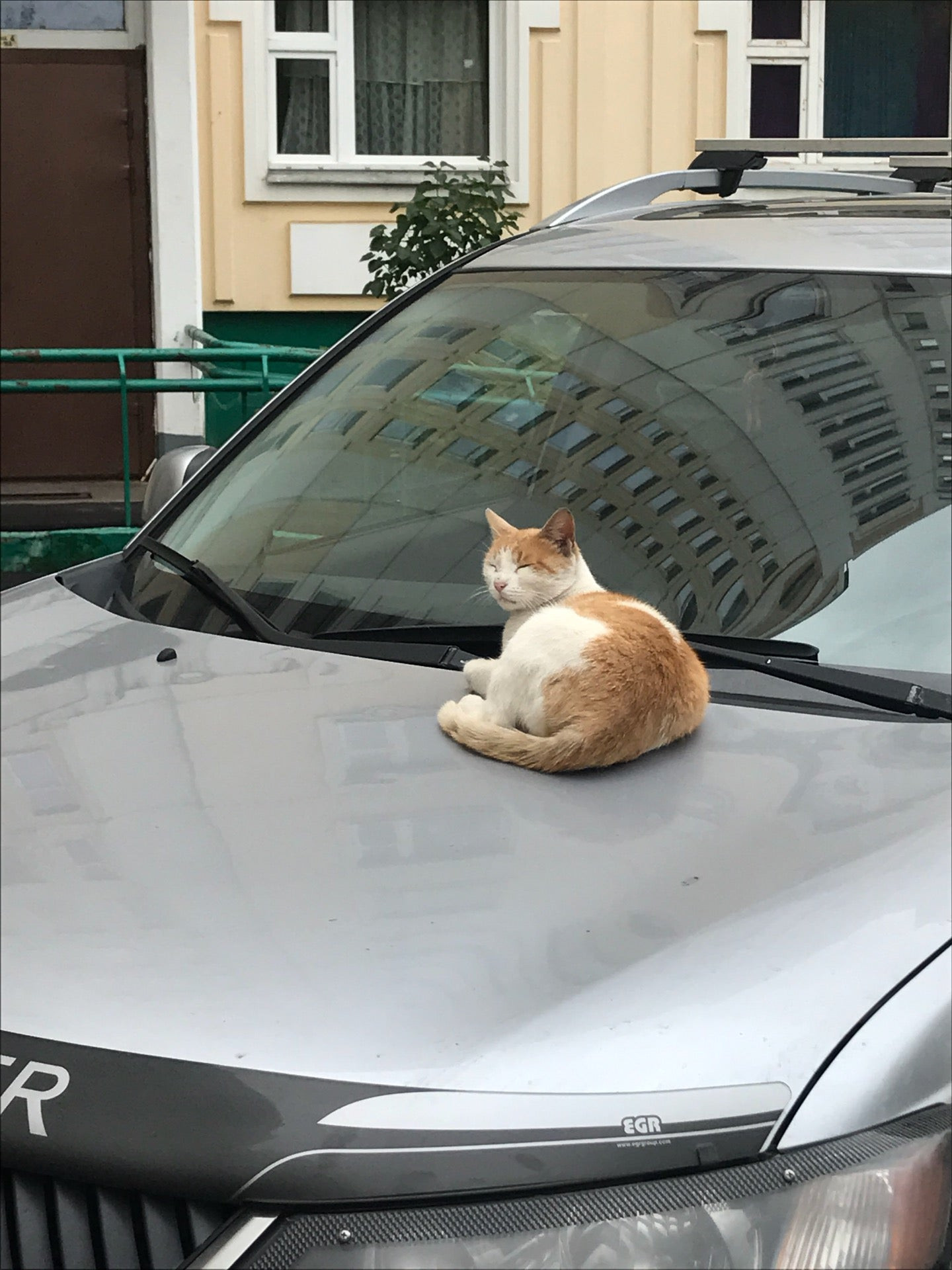 Учреждения на Коровинском шоссе рядом со мной на карте – рейтинг, цены,  фото, телефоны, адреса, отзывы – Москва – Zoon.ru