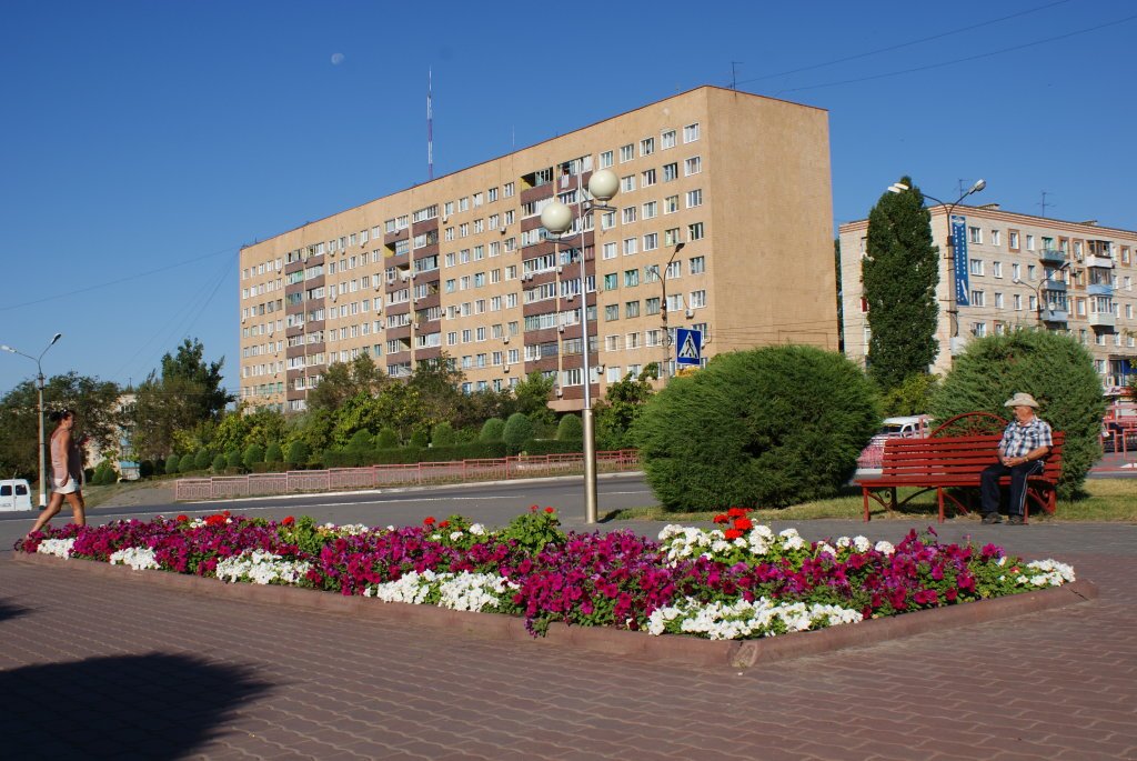 Покажи волгоградский. Камышин Волгоградская область. Камышин центр города. Камышин площадь. Волгоградская обл город Камышин.