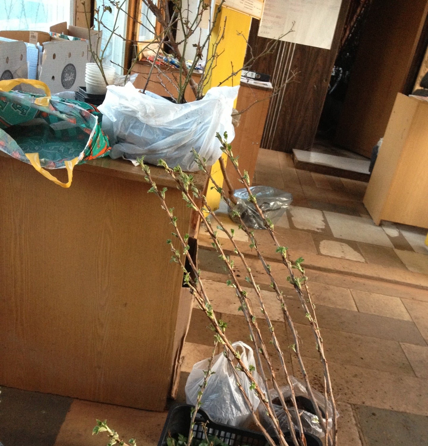 Железнодорожная станция Виноградово - отзывы, фото, цены, телефон и ...