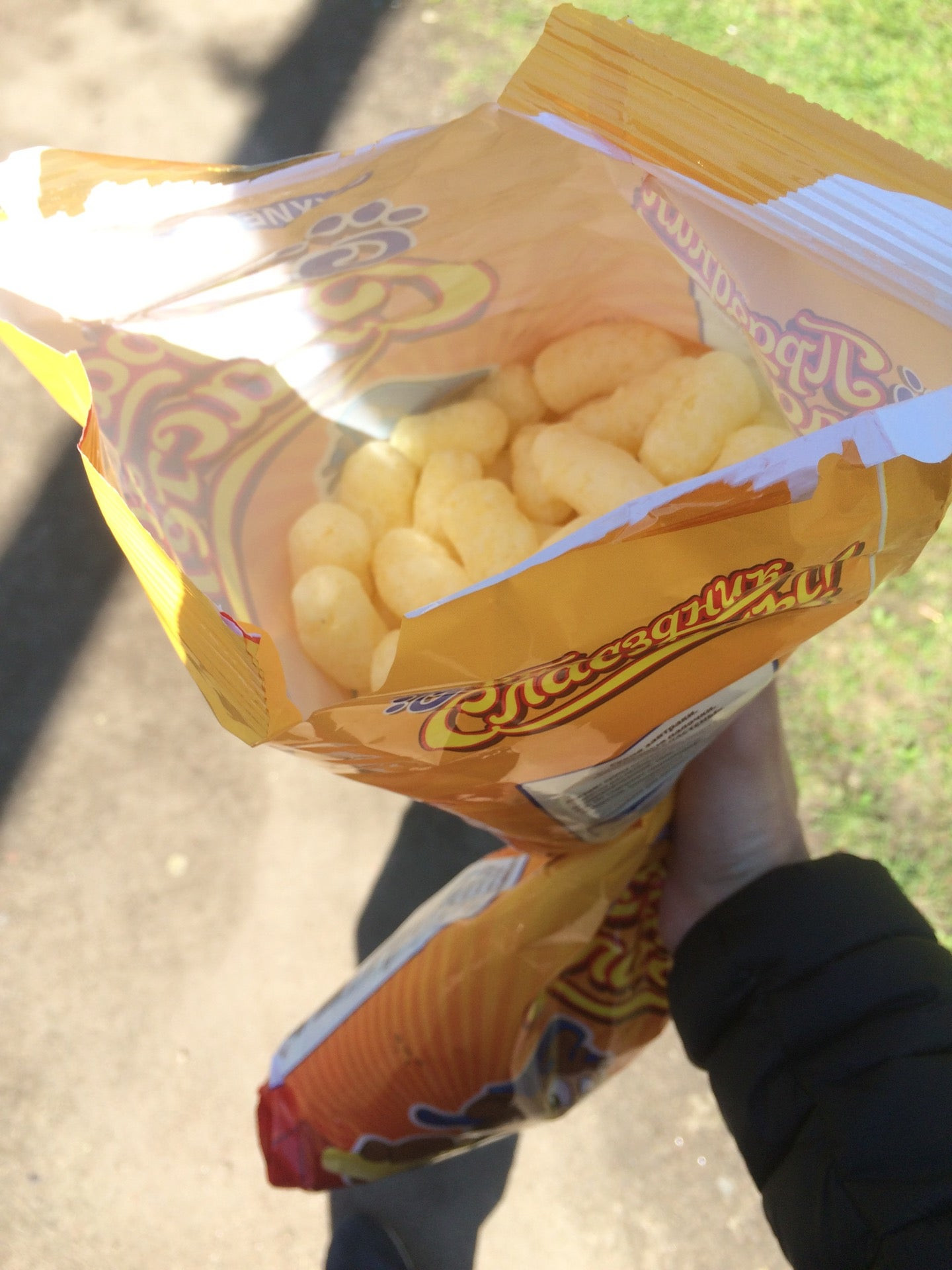Хлебный дом ольги форш