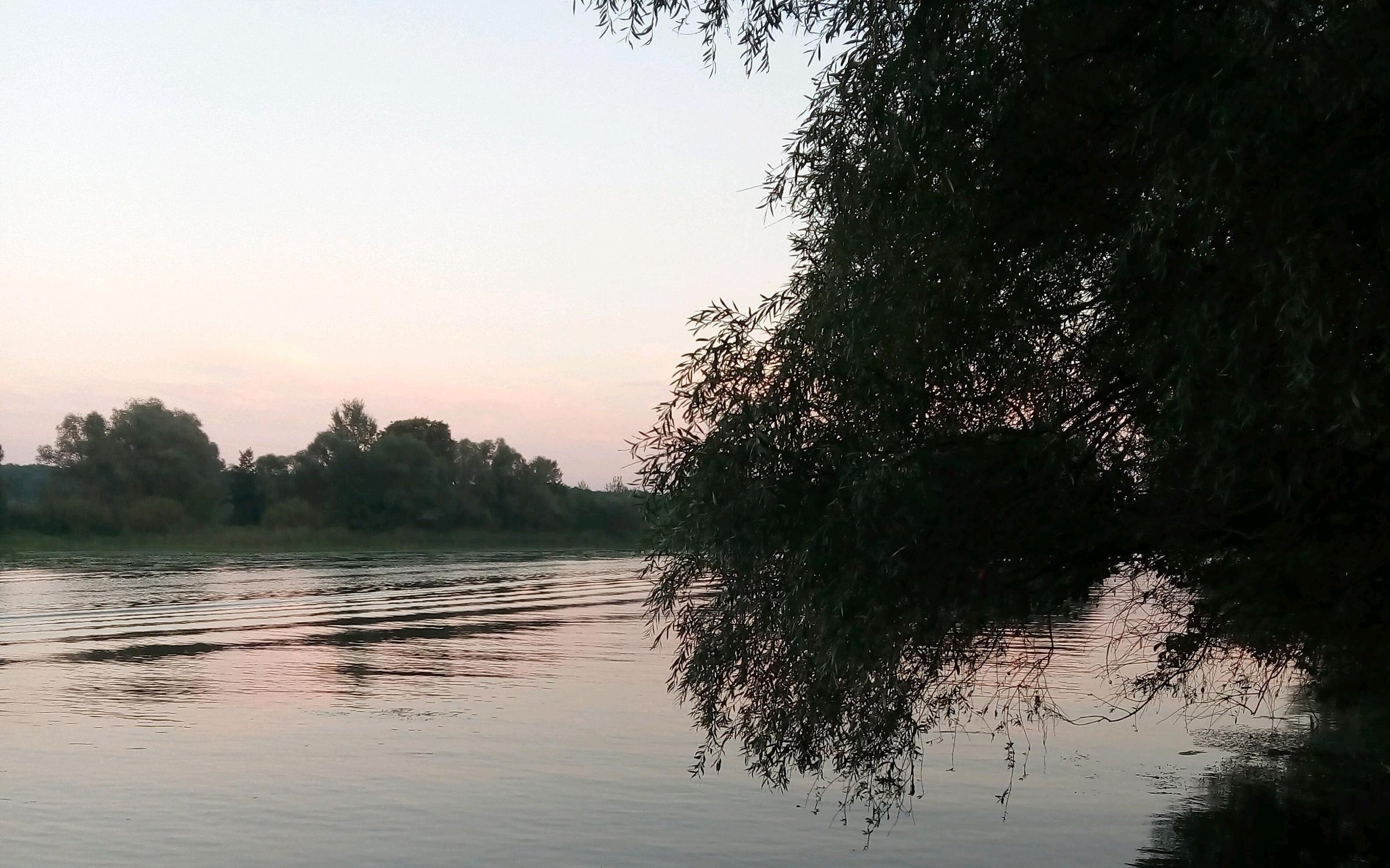 Белые пески турбаза воронеж. Белые Пески Нижнекамск. Белые Пески Нижнекамск база. Турбаза белые Пески лопатки.