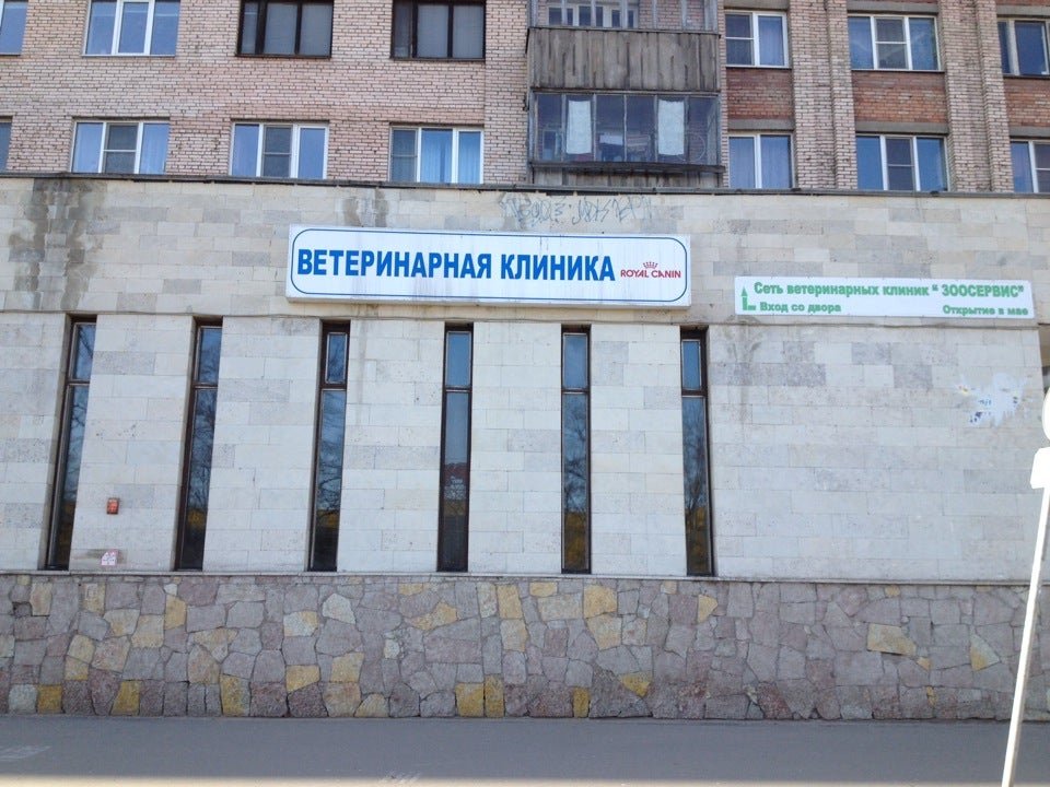 ветклиника москва. ветеринарная дыбенко. ветеринарный участок. дыбенко 42 ветеринарная клиника. ситивет дыбенко 25.