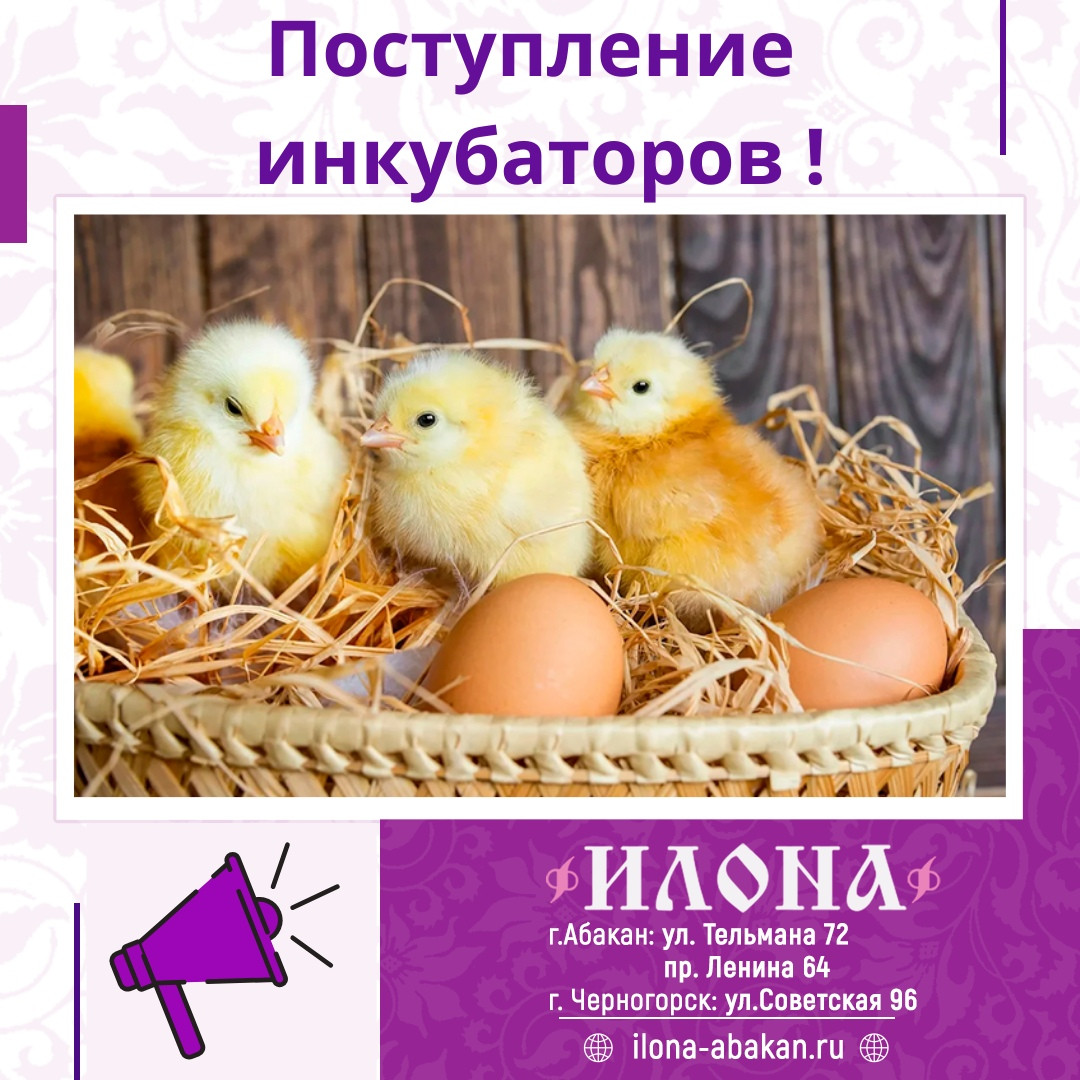 Магазины ковров в Абакане рядом со мной – Купить ковер: 25 магазинов на  карте города, 2 отзыва, фото – Zoon.ru