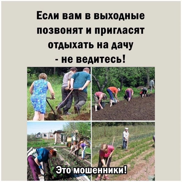 Если вас зовут в деревню отдохнуть не ведитесь это мошенники картинка