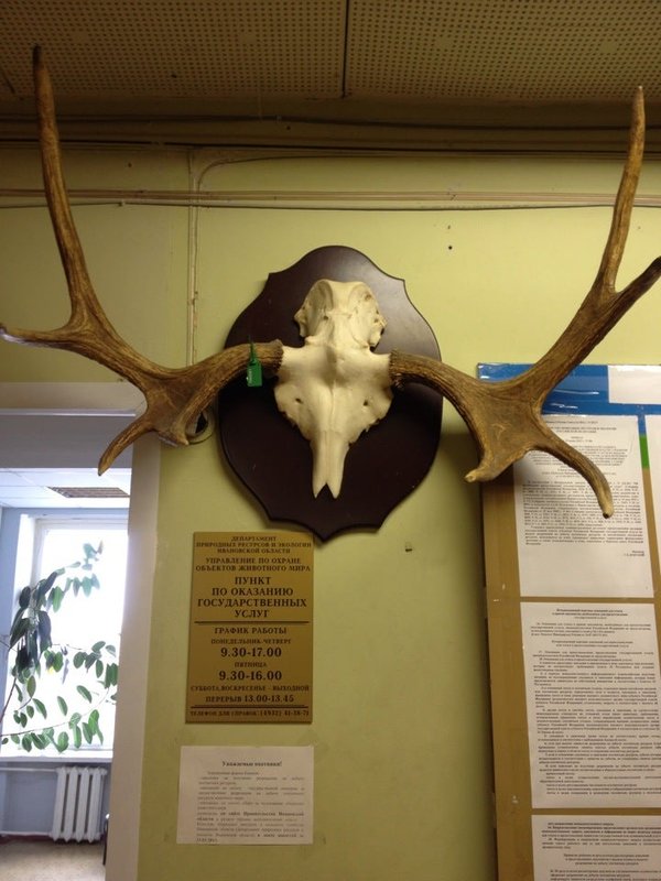 департамент природных ресурсов и экологии ивановской