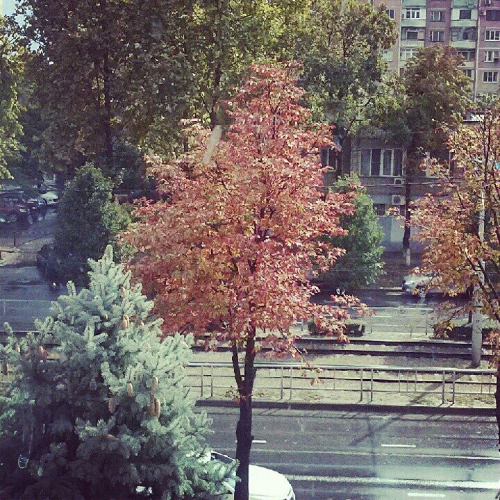 г краснодар ул зиповская 5 суд. 56 судебный участок центрального внутригородского краснодар. мировой суд краснодар карасунский округ уральская. администрация центрального округа краснодар. улица ставропольская 75/1 краснодар.