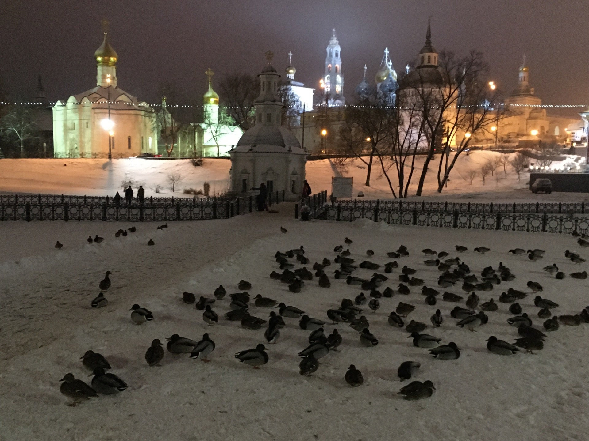 Шашлычные в Сергиевом Посаде рядом со мной на карте, цены - Ресторан  шашлыков: 45 ресторанов с адресами, отзывами и рейтингом - Zoon.ru