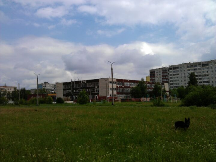 школа 30 пермь. лицей 5 пермь. лицей 5 пермь бассейн. лицей 5 пермь. школа 111 челябинск.