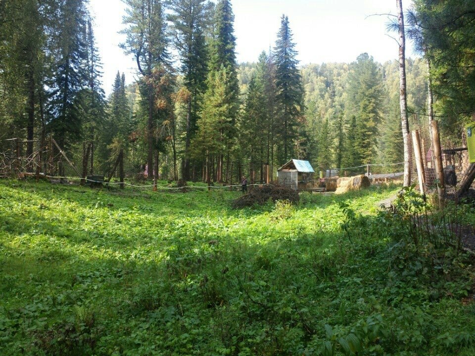 Зоопарк Таёжный - отзывы, фото, цены, телефон и адрес - Развлечения ...