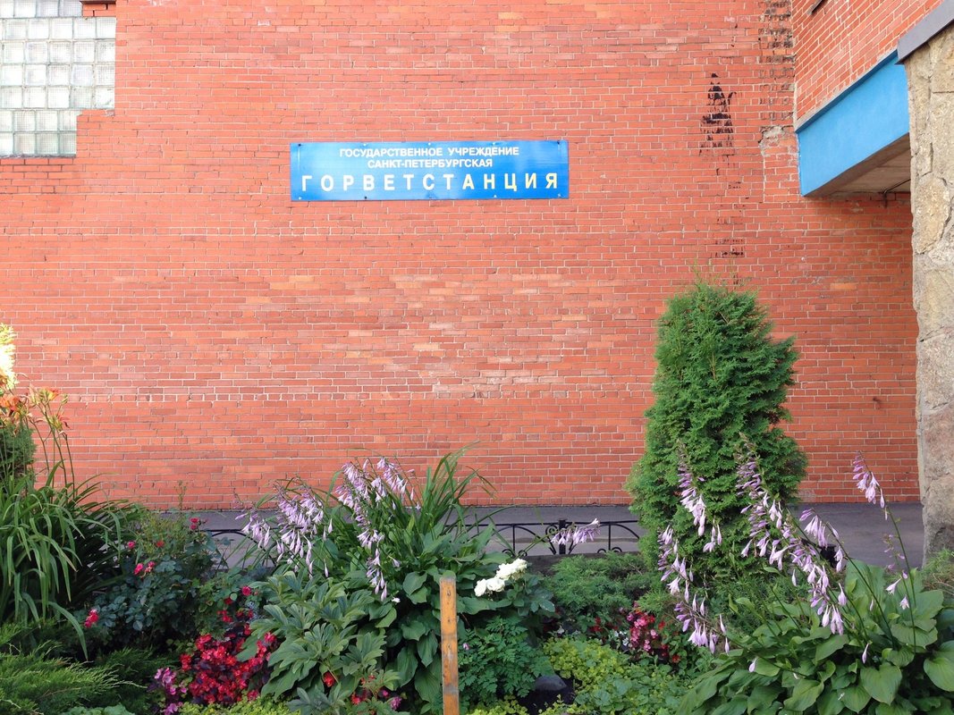 ул. ул. 2-я жерновская 23. горветстанция 2 жерновская. 2-я жерновская, д.