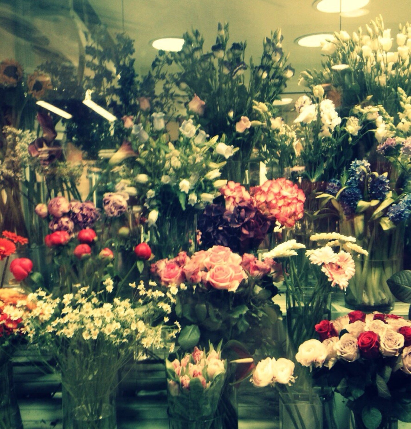 Цветы Мейсон де Флер фото. Fleur_da. Тутфлер.