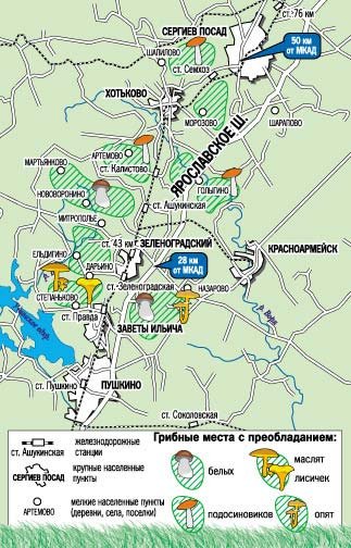 Карта сбора ягод в московской области