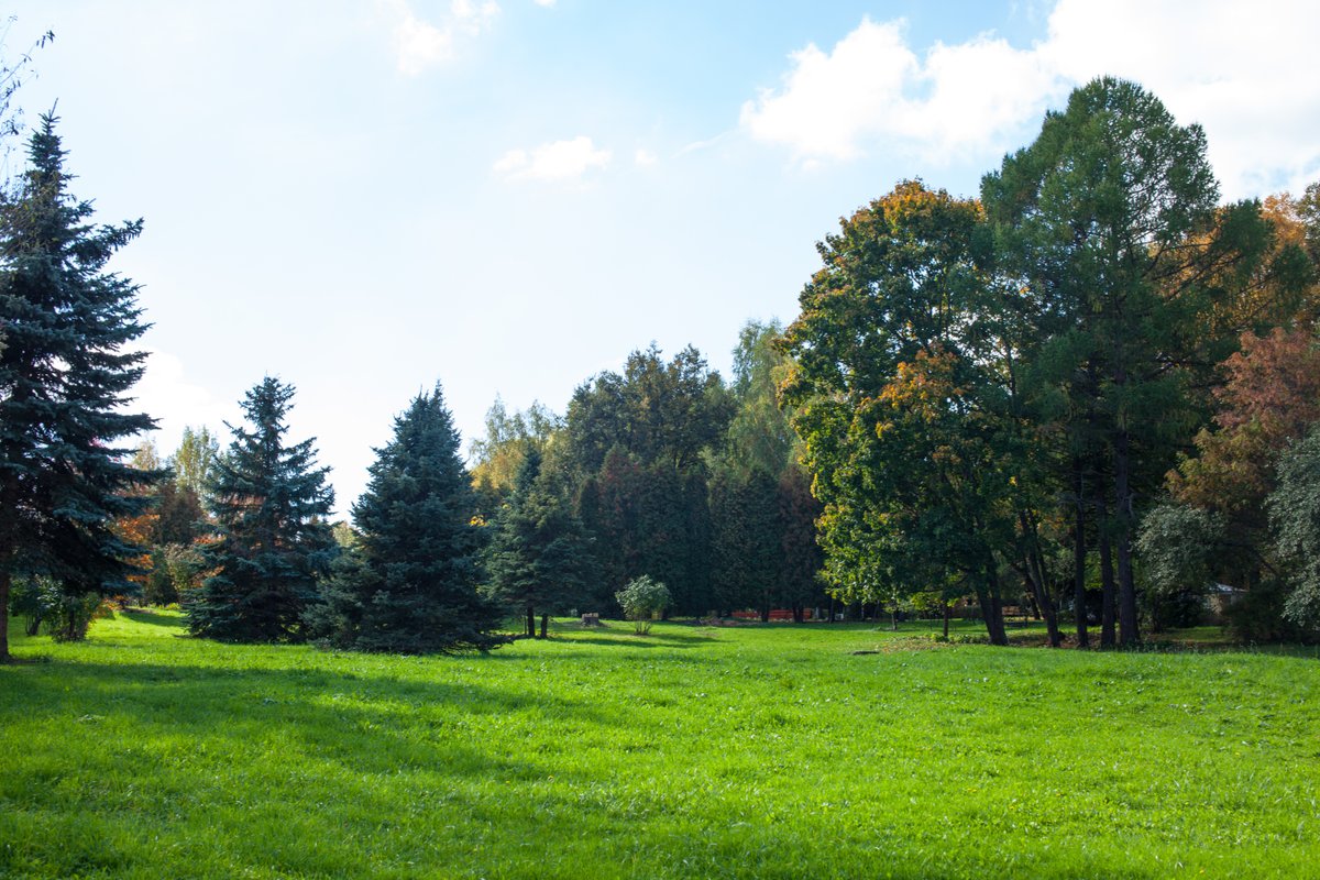 Софрино парк