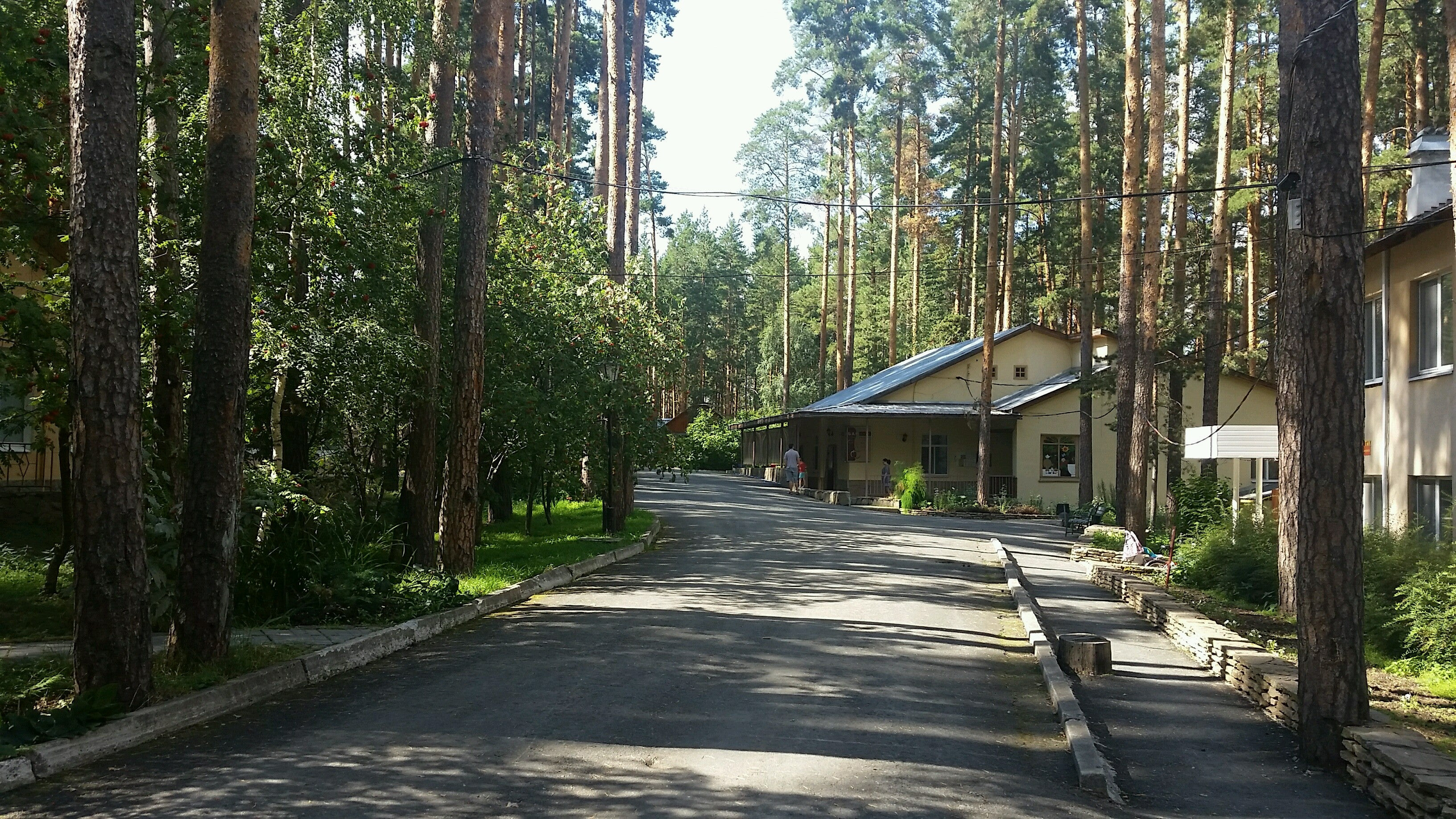 Конные прогулки в Екатеринбурге, 48 домов отдыха, 74 отзыва, фото, рейтинг  конных баз – Zoon.ru