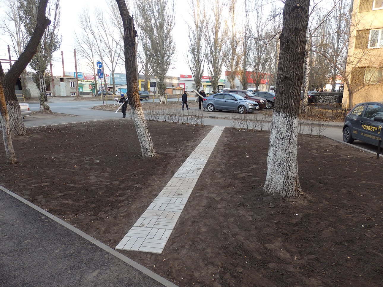 Тсж 49